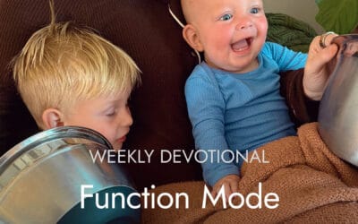 Switching to Function Mode